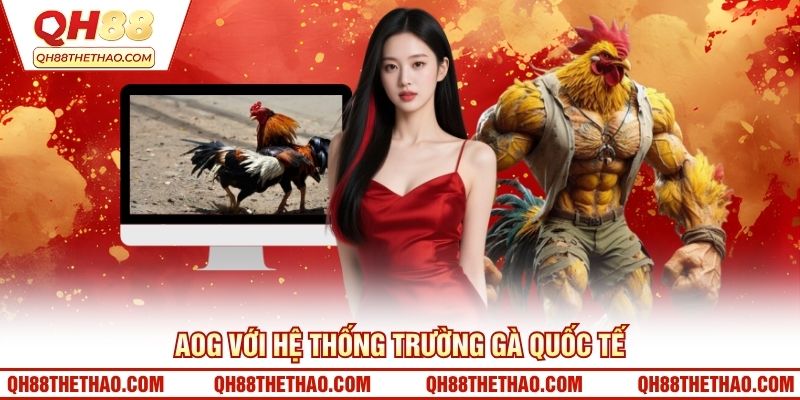 AOG với hệ thống trường gà quốc tế