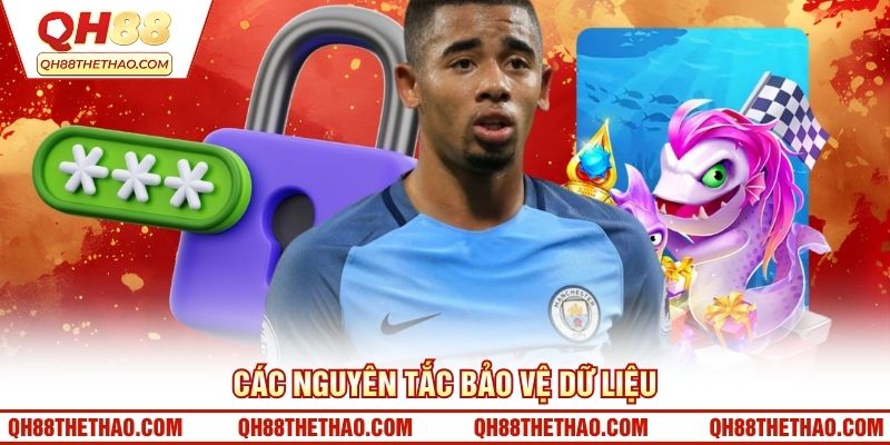 Các nguyên tắc bảo vệ dữ liệu