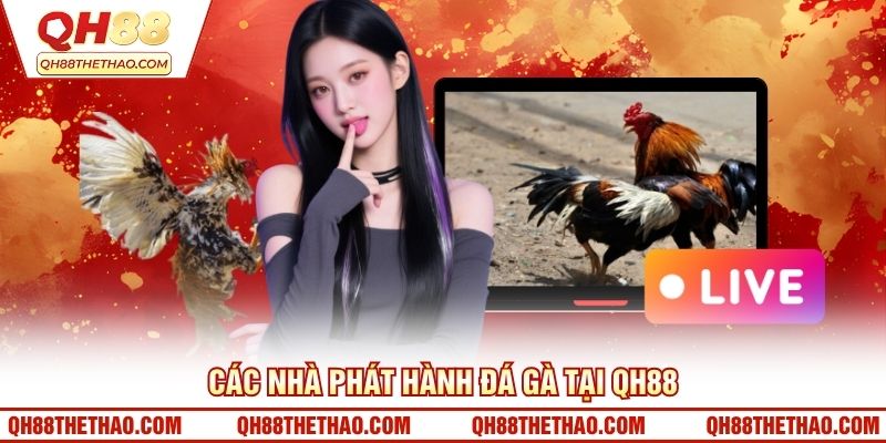 Các nhà phát hành đá gà tại QH88