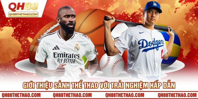 Giới thiệu sảnh thể thao với trải nghiệm hấp dẫn