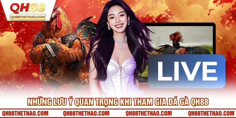 Những lưu ý quan trọng khi tham gia đá gà QH88